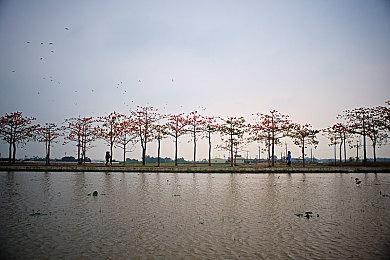 《圣兽之王》全球销量突破100万 将举行7折特卖促销